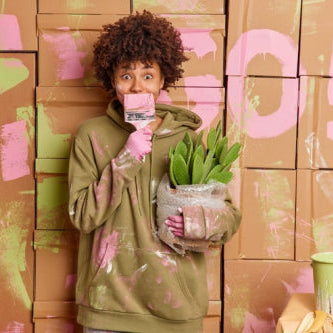 Eco-Friendly Paints Reshape Formulations for Everyday Use