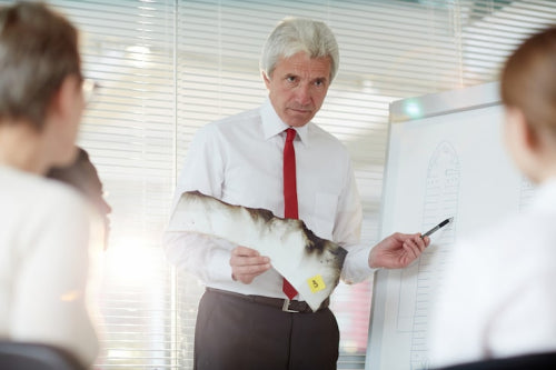 Industry Leaders Report Fiscal Gains Amid Supply Challenges