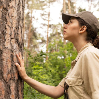 Protection Solutions Advance Wood Care Sustainability