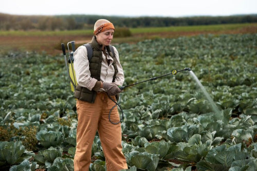 Cordless Sprayers Gain Traction for Field Work