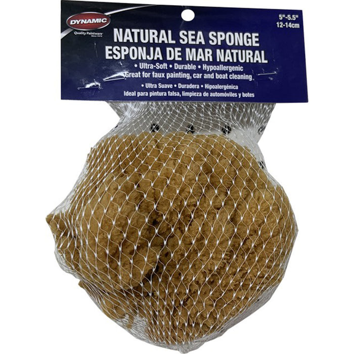 Dynamic 00004 Natural Sea Sponge 5" - 5.5" (12-14cm)