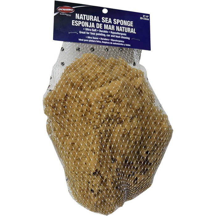 Dynamic 00006 Natural Sea Sponge 8 - 9 (20-23cm)