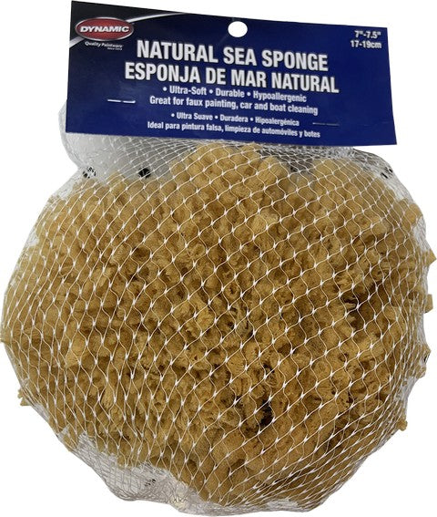 Dynamic 00008 Natural Sea Sponge 7" - 7.5" (17-19cm)