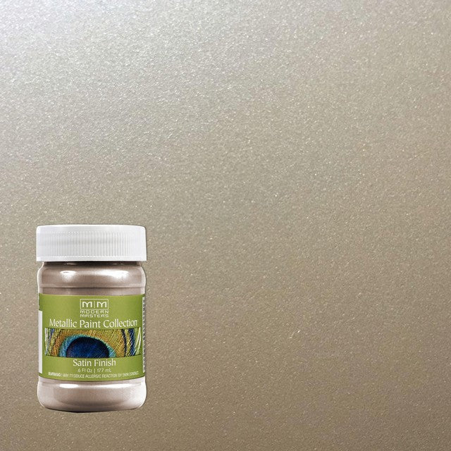 Modern Masters ME221 6oz Warm Silver Metallic Paint