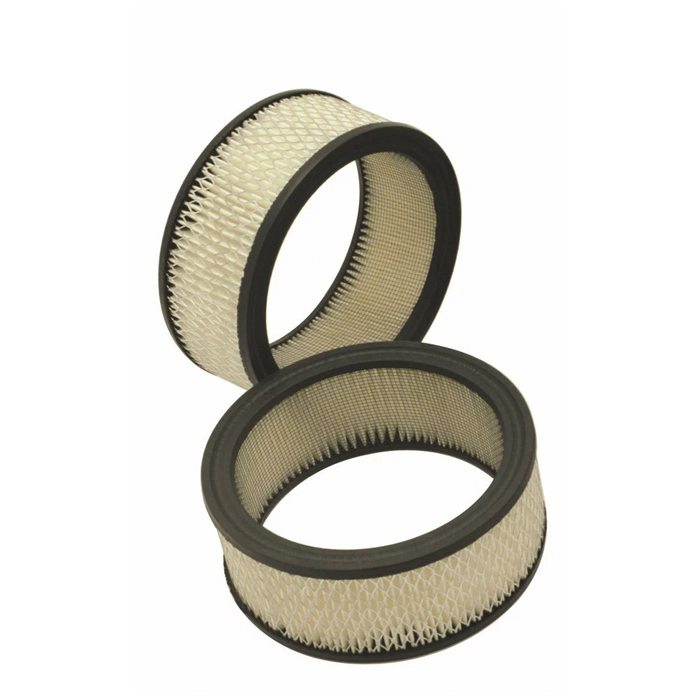 Apollo A4171 Replacement Filter Element – 1 Pair