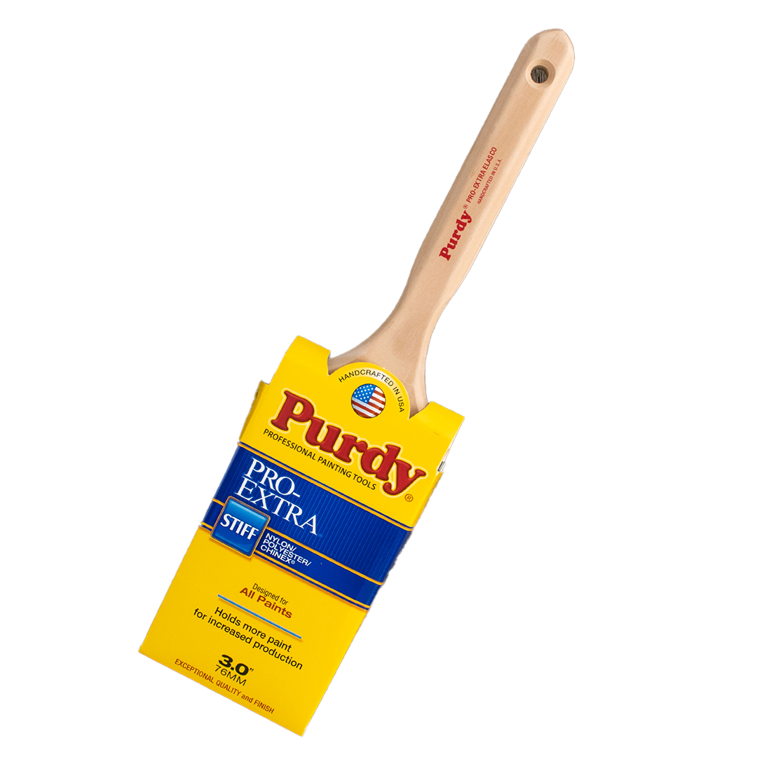 49 S&P アンスリウム ポルティラエ 'タキシード' Equator株